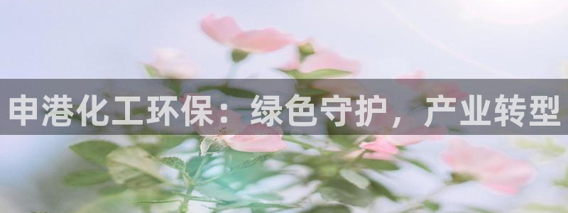 亿万app下载：申港化工环保：绿色守护，产业转型