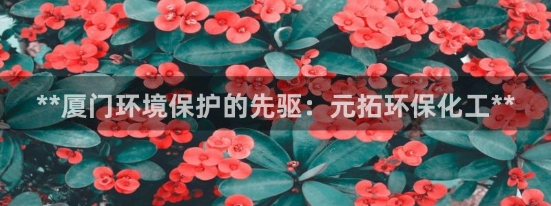 亿万先生MR - 亿万先生mr008cc：**厦门环境保护的先驱：元拓环保化工**