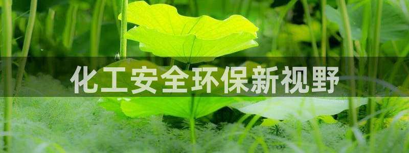 亿万先生情侣车有什么用：化工安全环保新视野