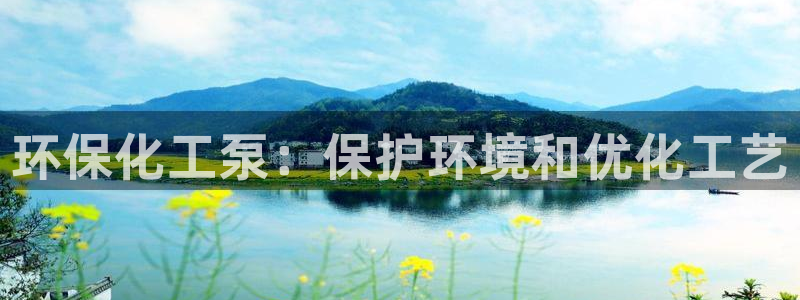 官方网站下载亿万人生：环保化工泵：保护环境和优化工艺