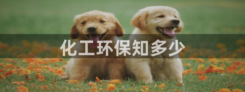 亿万国际游戏官网：化工环保知多少