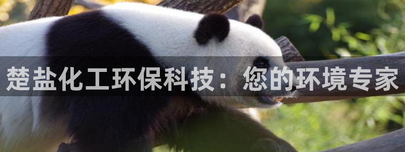 亿万先生mr07：楚盐化工环保科技：您的环境专家