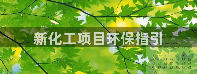 亿万手游平台官网下载：新化工项目环保指引