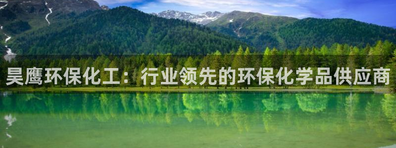 亿万先生手机版入口在哪：昊鹰环保化工：行业领先的环保化学品供应商
