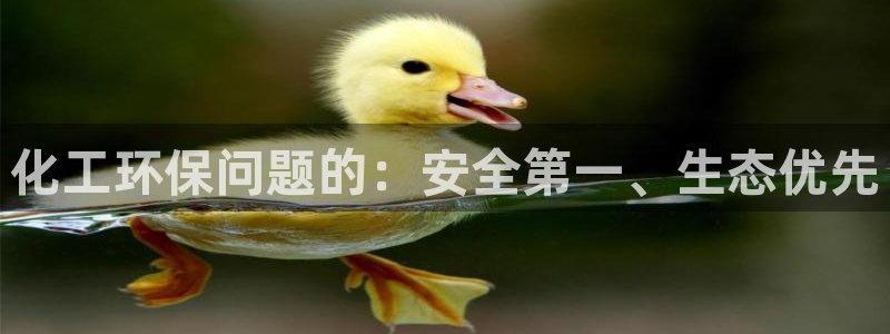 亿万先生合并网址在哪：化工环保问题的：安全第一、生态优先