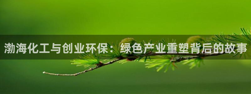 亿万问答：渤海化工与创业环保：绿色产业重塑背后的故事