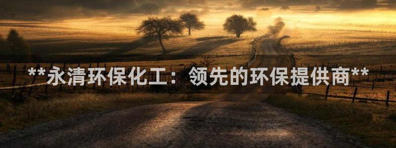 亿万先生充电桩怎么样：**永清环保化工：领先的环保提供商**