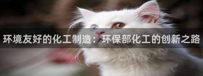 亿万同人字幕组微博的微博：环境友好的化工制造：环保部化工的创新之路