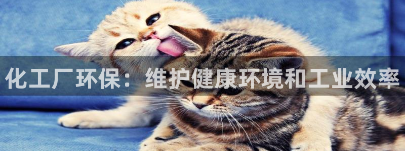 亿万先生客服