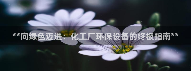 亿万先生网页版登录：**向绿色迈进：化工厂环保设备的终极指南**