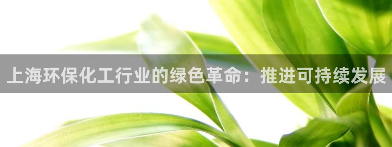 亿万笞人：上海环保化工行业的绿色革命：推进可持续发展