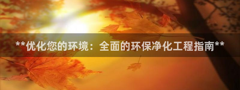 亿万剧集：**优化您的环境：全面的环保净化工程指南**