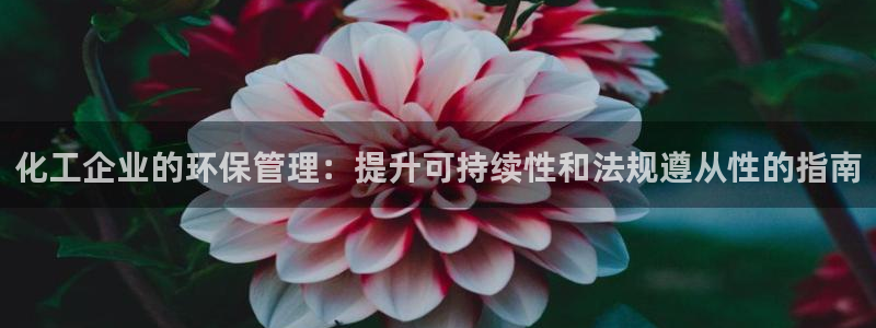 亿万先生客户端：化工企业的环保管理：提升可持续性和法规遵从性的指南