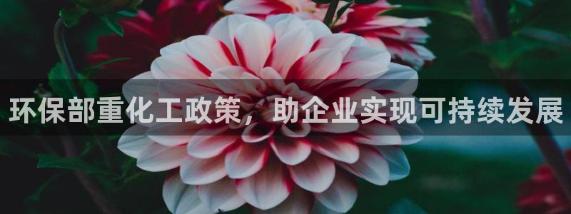 亿万先生合并网址是什么：环保部重化工政策，助企业实现可持续发展