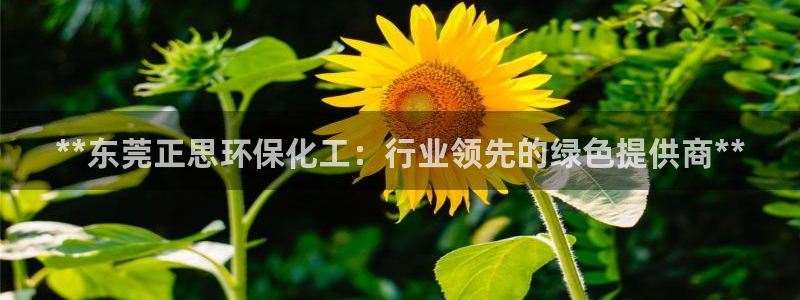 mr07亿万先生：**东莞正思环保化工：行业领先的绿色提供商**