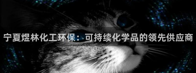 亿万手游官网首页：宁夏煜林化工环保：可持续化学品的领先供应商