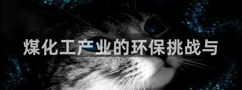 亿万先生官方网站：煤化工产业的环保挑战与
