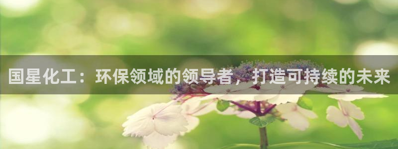 亿万先生网站下载：国星化工：环保领域的领导者，打造可持续的未来