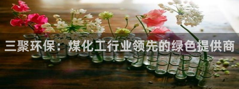 亿万先生mr07官网：三聚环保：煤化工行业领先的绿色提供商