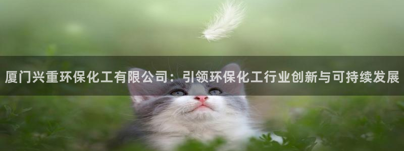 亿万官网：厦门兴重环保化工有限公司：引领环保化工行业创新与可持续发展