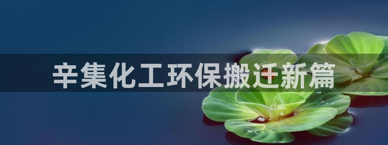 亿万网络科技有限公司ceo：辛集化工环保搬迁新篇