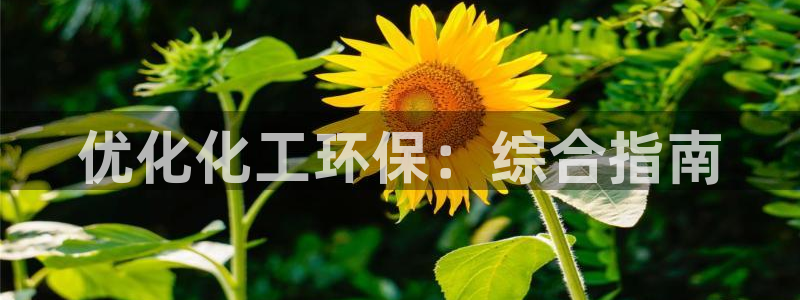 亿万网络科技有限公司：优化化工环保：综合指南