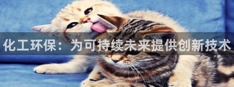亿万先生合并：化工环保：为可持续未来提供创新技术