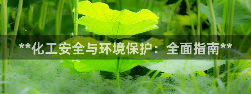 亿万下载徐家汇朋友圈说说：**化工安全与环境保护：全面指南**
