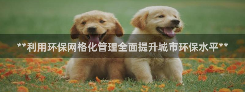 电影 亿万：**利用环保网格化管理全面提升城市环保水平**