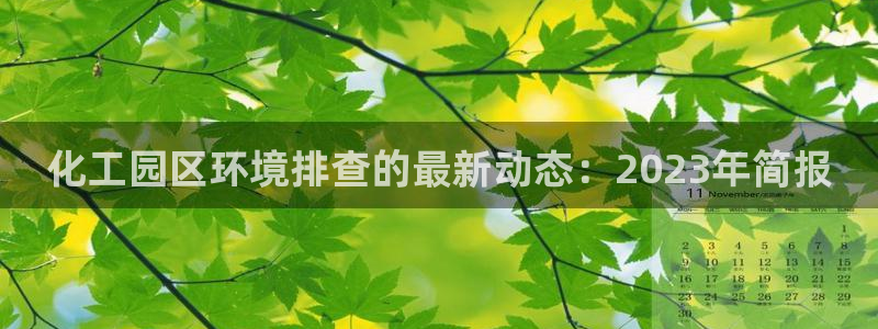 亿万第一季解说：化工园区环境排查的最新动态：2023年简报