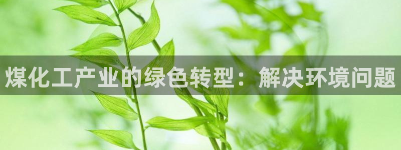 亿万先生手机版客户端下载官网：煤化工产业的绿色转型：解决环境问题