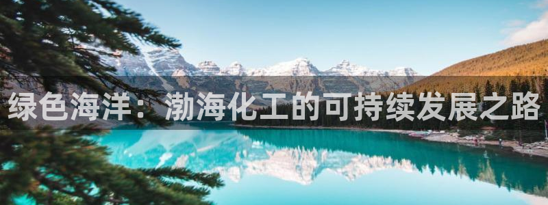 亿万贴吧：绿色海洋：渤海化工的可持续发展之路