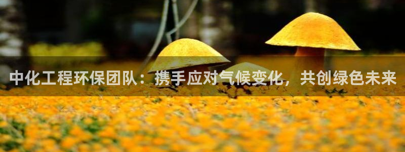 亿万先生 手机版下载安装：中化工程环保团队：携手应对气候变化，共创绿色未来