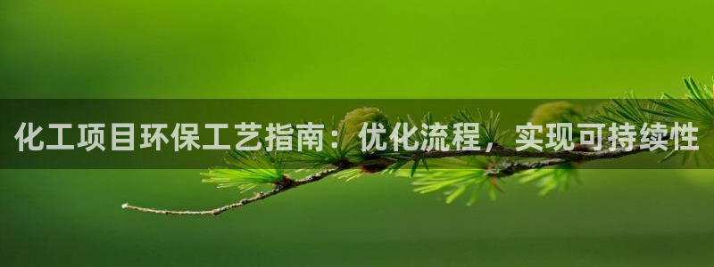 亿万网红：化工项目环保工艺指南：优化流程，实现可持续性