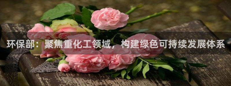 电影亿万：环保部：聚焦重化工领域，构建绿色可持续发展体系
