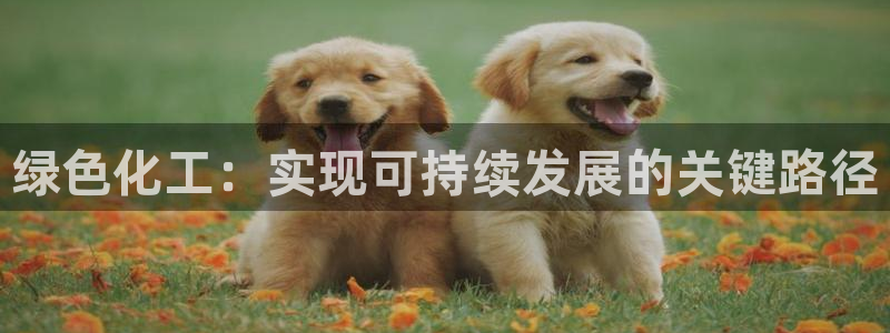 亿万先生网页版：绿色化工：实现可持续发展的关键路径