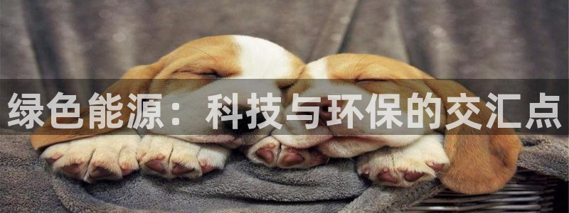 亿万先生手游下载：绿色能源：科技与环保的交汇点