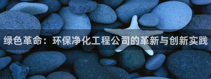 亿万问答：绿色革命：环保净化工程公司的革新与创新实践