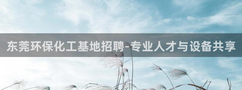 亿万先生官方网站客户端下载安装最新版：东莞环保化工基地招聘-专业人才与设备共享