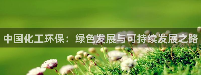 亿万先生手机版入口在哪看：中国化工环保：绿色发展与可持续发展之路