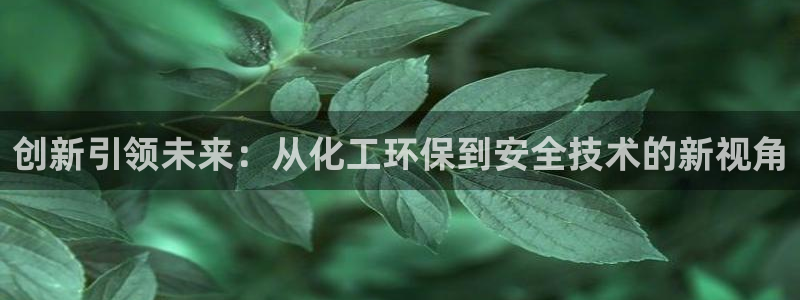 亿万先生007网页登录不了：创新引领未来：从化工环保到安全技术的新视角