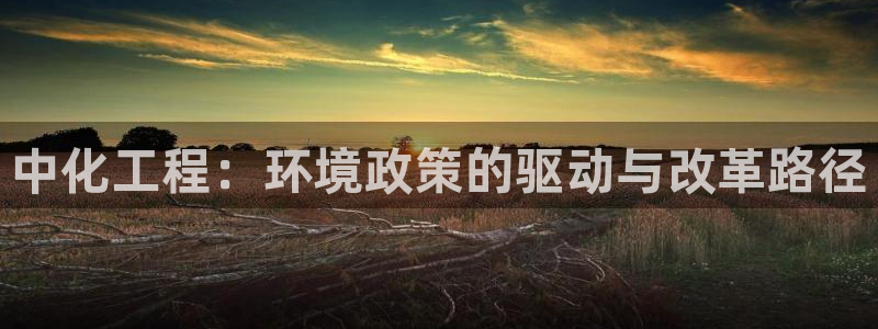 亿万网络：中化工程：环境政策的驱动与改革路径