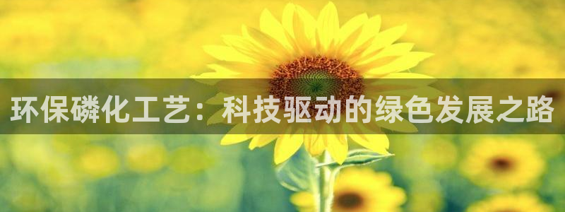 亿万先生网站下载：环保磷化工艺：科技驱动的绿色发展之路