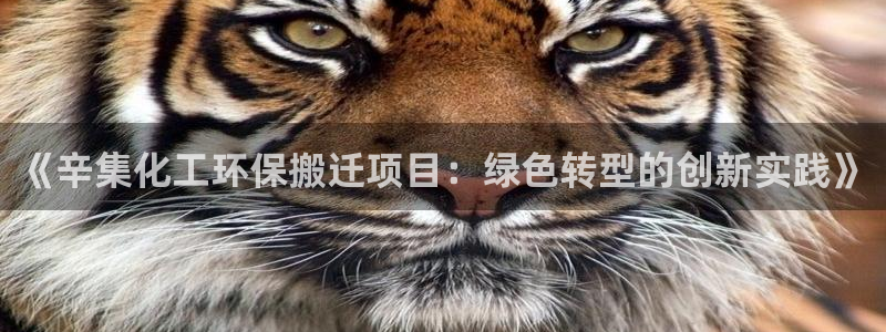 亿万先生客服联系方式是什么：《辛集化工环保搬迁项目：绿色转型的创新实践》
