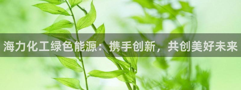 亿万官网手机登录：海力化工绿色能源：携手创新，共创美好未来