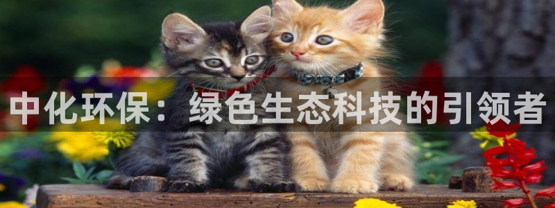 亿万视频：中化环保：绿色生态科技的引领者