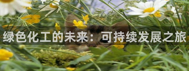 亿万先生手机版入口在哪下载：绿色化工的未来：可持续发展之旅