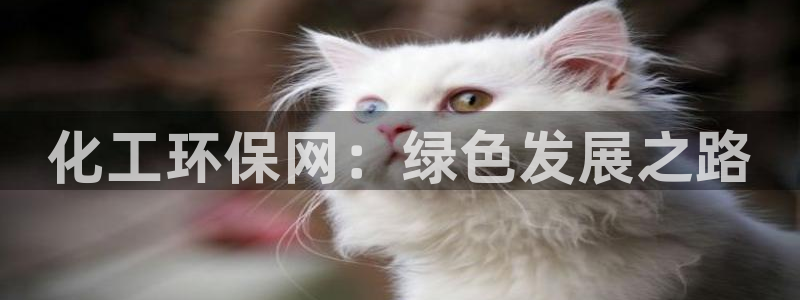 亿万同人字幕组的个人主页：化工环保网：绿色发展之路