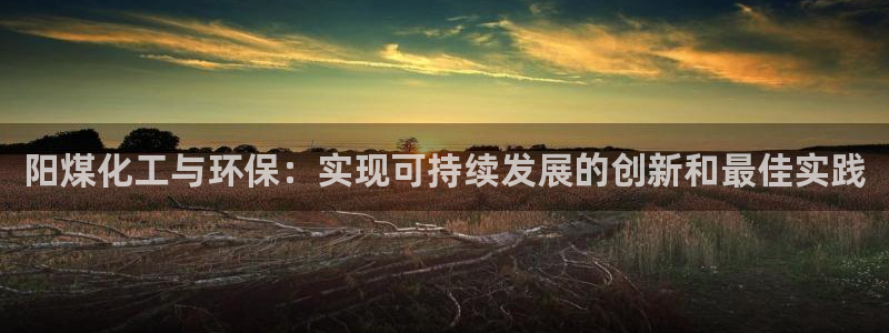 亿万同人字幕组微博的微博：阳煤化工与环保：实现可持续发展的创新和最佳实践