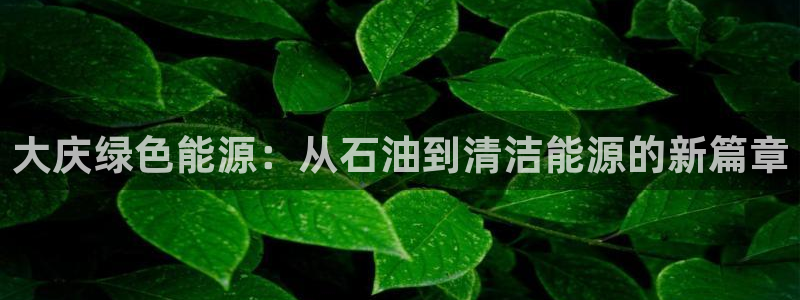 亿万国际：大庆绿色能源：从石油到清洁能源的新篇章